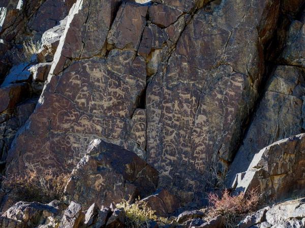 Mongolia Snow Leopard tracking holiday