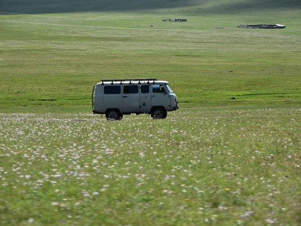 Tsaatan reindeer herding holiday, Mongolia