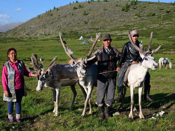 Tsaatan reindeer herding holiday, Mongolia