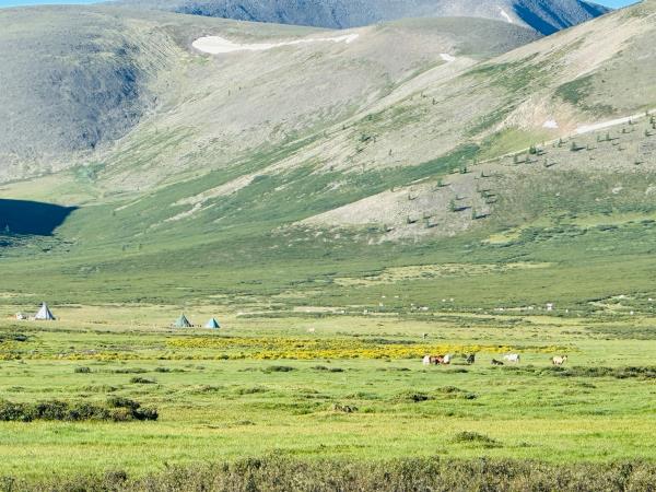 Tsaatan reindeer herding holiday, Mongolia