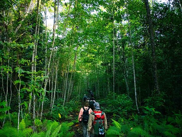 Indonesia cruise, Raja Ampat & Spice Islands