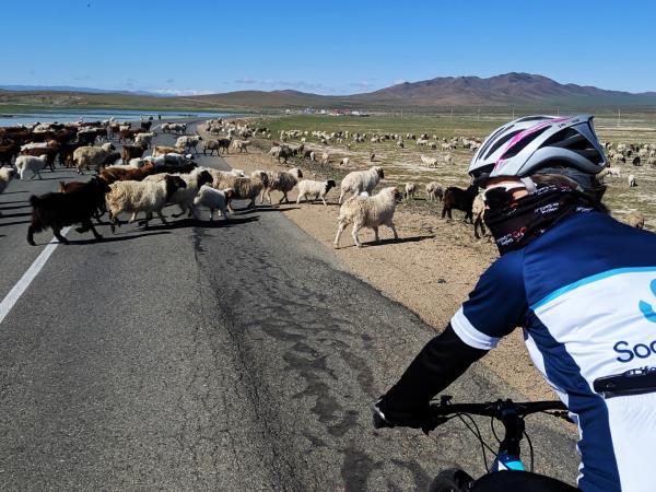 Mongolia cycling tours