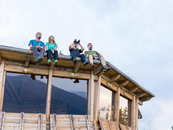 Carpathians wildlife adventure  holiday, Romania