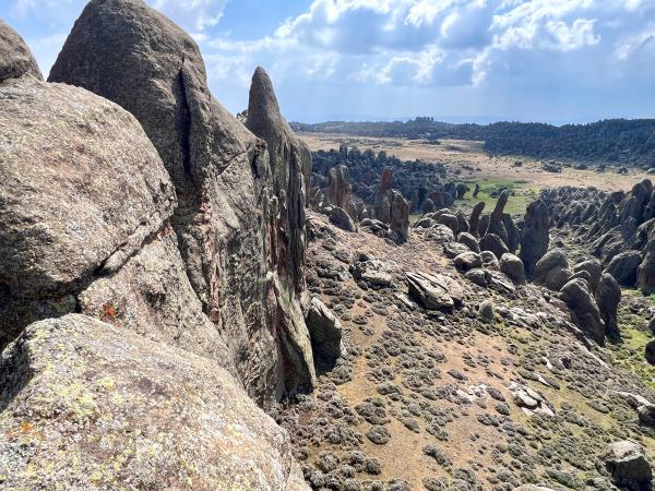 Ethiopia walking and wildlife holiday