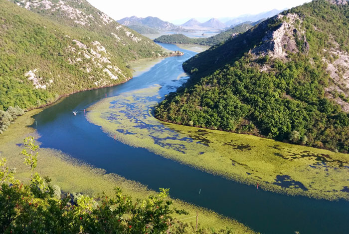Skadar Lake