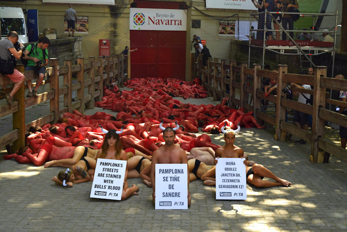 Pamplona protests,2015