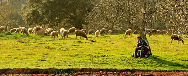 Rural Portugal