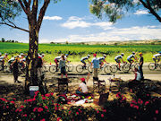 Riding in the vineyards, South Australia. Photo by South Australia Tourist Board