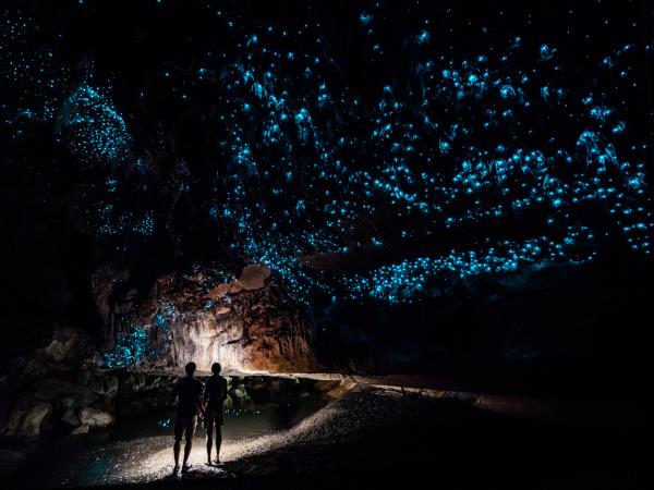Trip photo