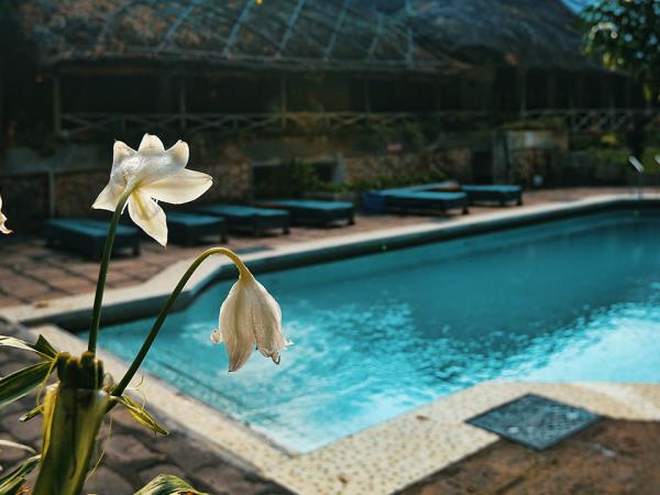 Trip photo