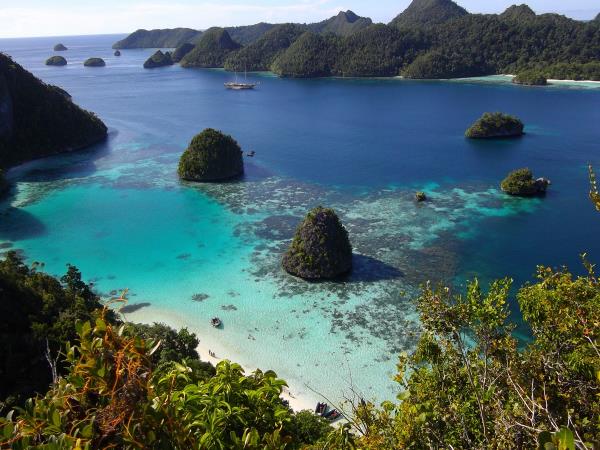 Wildlife holidays in Indonesia in 2023 & 2024 | Responsible Travel