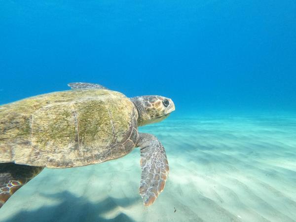 Trip photo