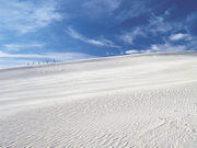 Sand dunes at Kangaroo Island, South Australia. Photo by South Australia Tourist Board