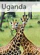 Uganda guide