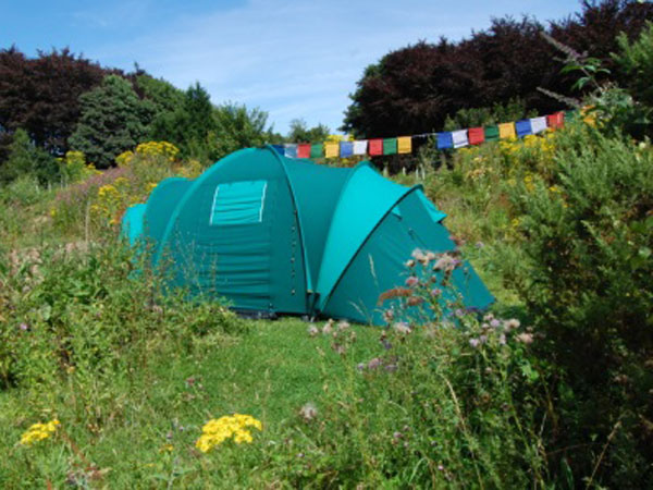 South Downs eco campsite, England