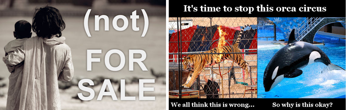 Our activism