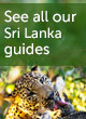 Sri Lanka guide