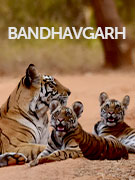 Bandhavgarh Tiger Reserve