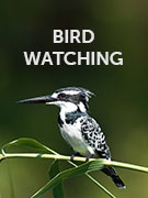 Bird watching holidays Bird watching holidays