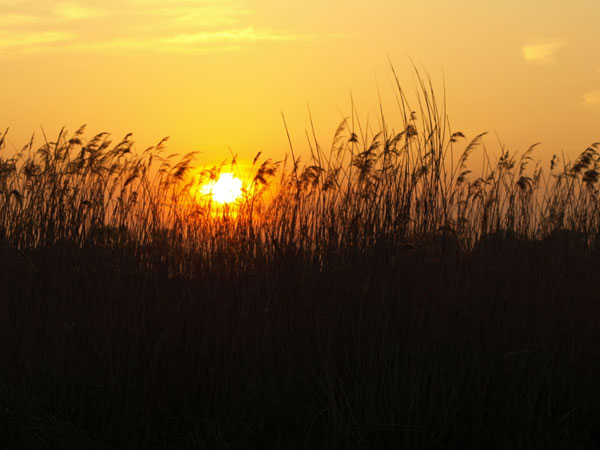 Sunset in norfolk