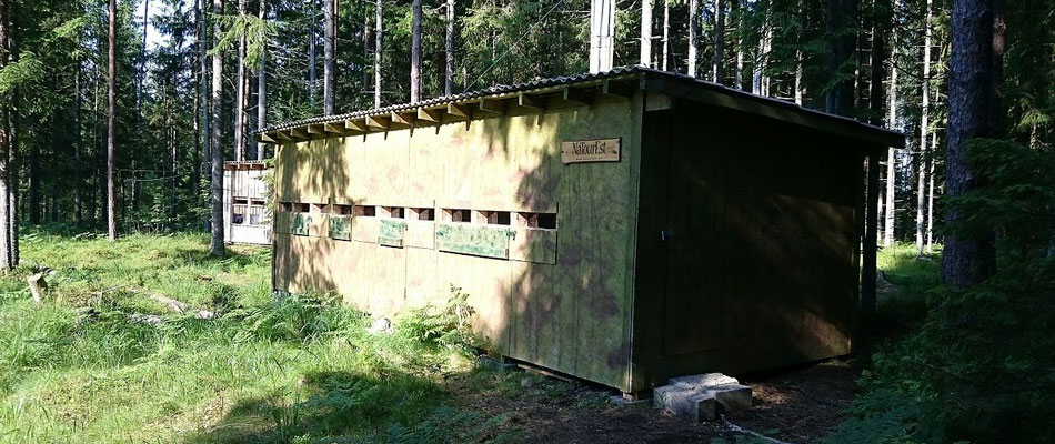Bear hide