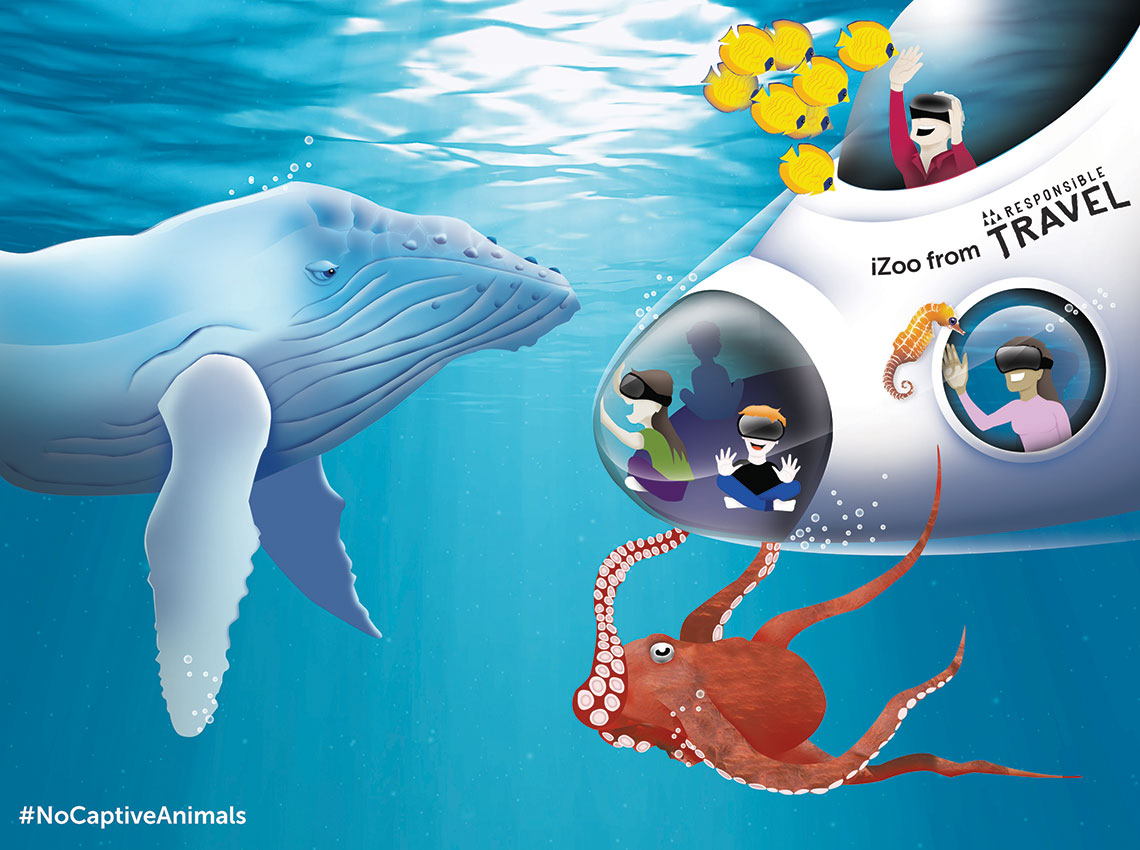 Virtual reality underwater world