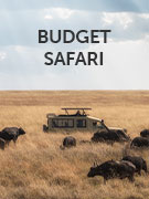 Budget safaris holidays