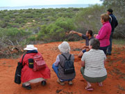 'Buna' dreaming tour in Western Australia. Photo by Richard Madden