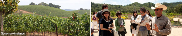 Sonoma winelands