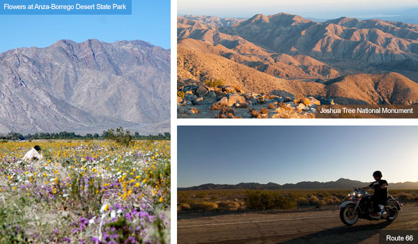 Anza-Borrego desert in bloom, Joshua Tree National Park and Route 66