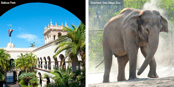 Balboa Park and San Diego Zoo