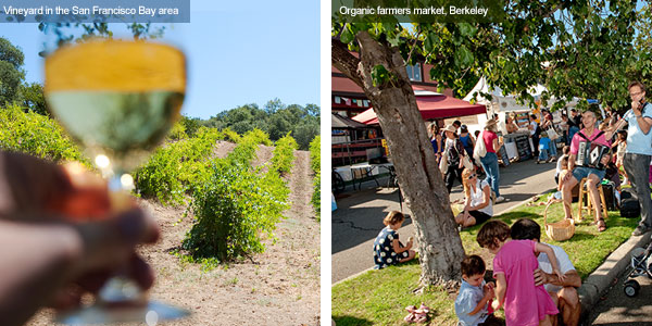 Wine country and farmers market, Berkeley