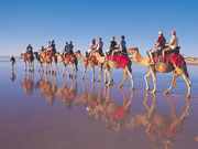 Camel trek in Broome in Western Australia. Photo by Tourism Western Australia