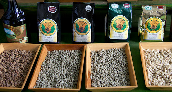 Doka coffee estate
