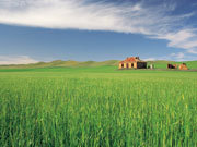 Clare Valley farmhouse, South Australia. Photo by South Australia