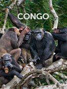 Congo