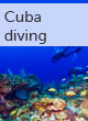 Cuba scuba diving guide
