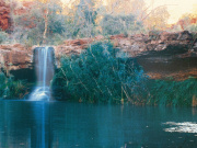 Fern Pool in Dales Gorge, Karijini National Park. Photo by Tourism Western Australia