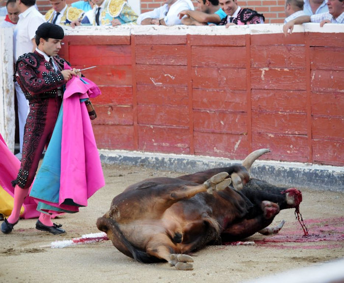Pamplona protests,2016