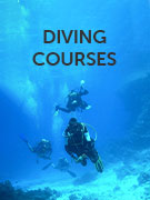Diving courses holidays