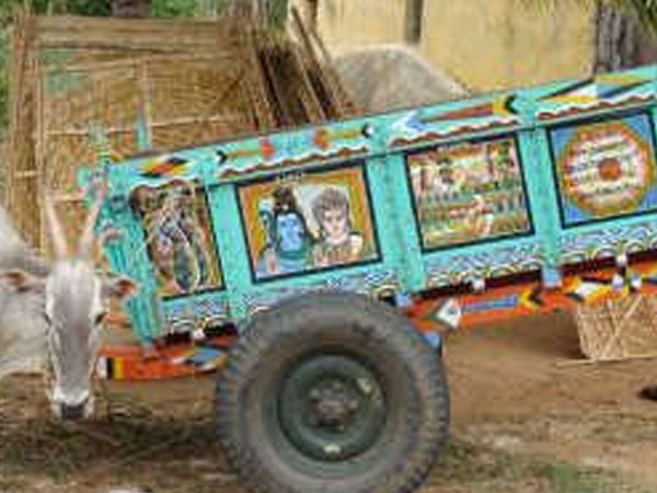 Southern India tour, temples & nature