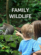 Family wildlife holidays Family wildlife holidays