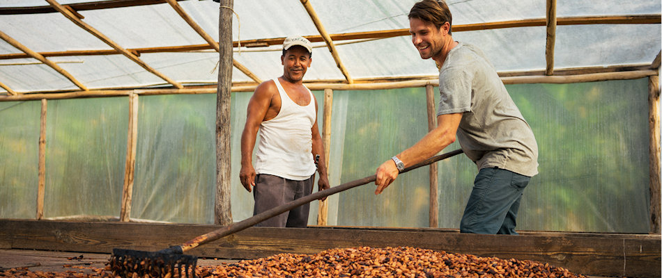 Volunteer raking cacao beans at Chocal's nursary
