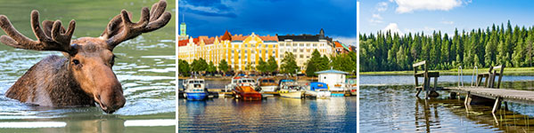 Finland-banner