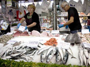 Fish market, Valencia. Photo by Nick Haslam