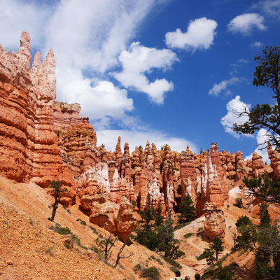 Bryce canyon, USA