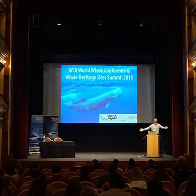whale conference