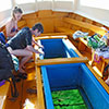 Glass bottom boat