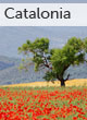 Catalonia guide
