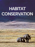 Habitat conservation holidays